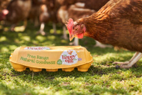 On-Location Product Photography with Happy Egg