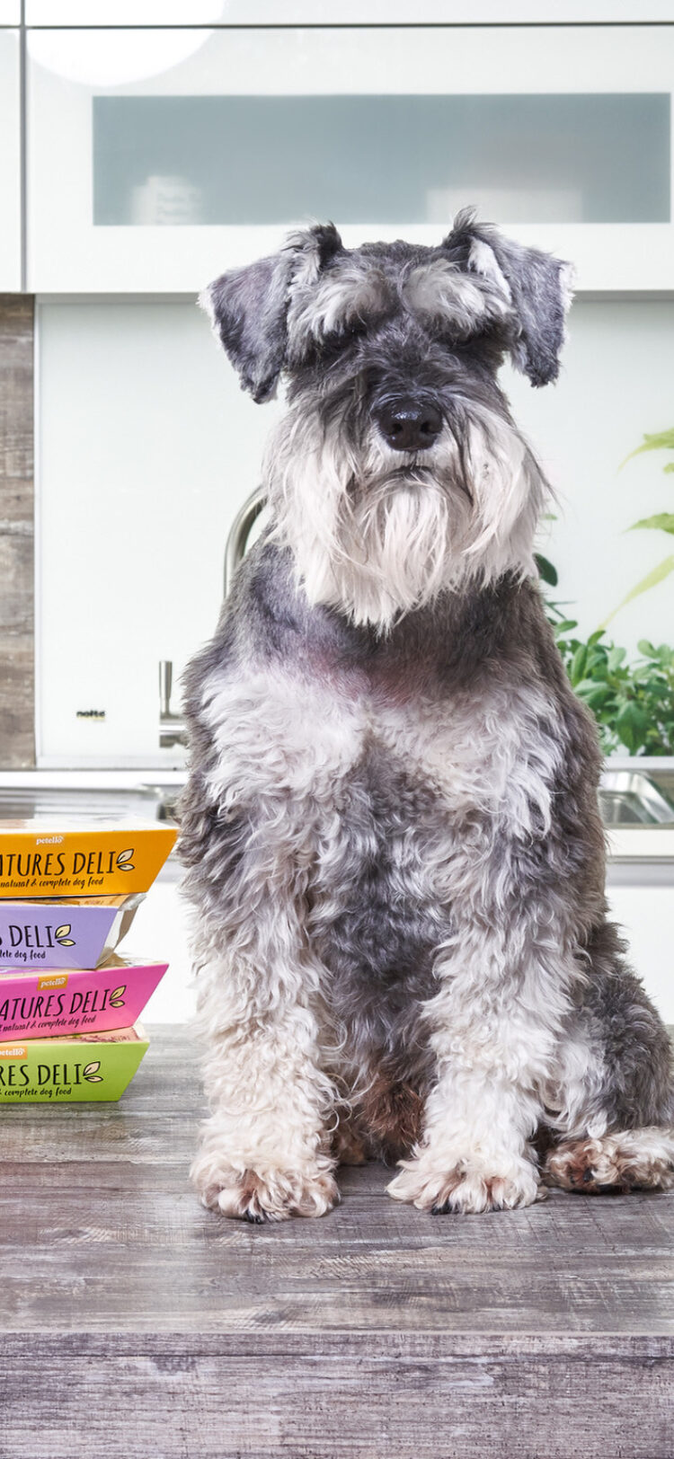 Commercial Photographers Milton Keynes Uniquecapture